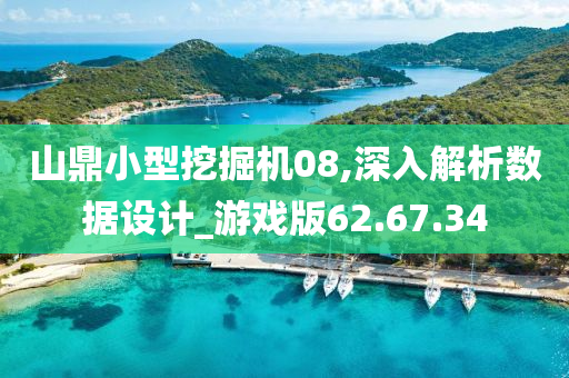 山鼎小型挖掘机08,深入解析数据设计_游戏版62.67.34