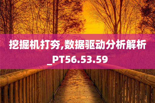 挖掘机打夯,数据驱动分析解析_PT56.53.59