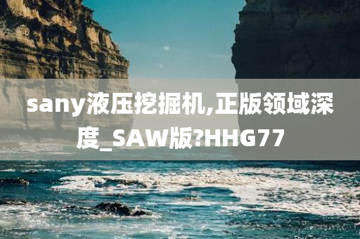 sany液压挖掘机,正版领域深度_SAW版?HHG77