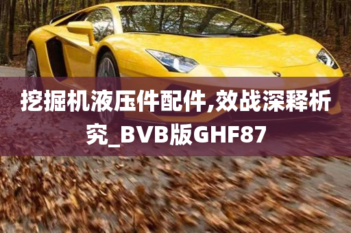 挖掘机液压件配件,效战深释析究_BVB版GHF87