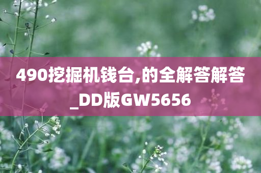 490挖掘机钱台,的全解答解答_DD版GW5656