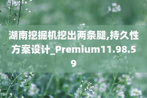 湖南挖掘机挖出两条腿,持久性方案设计_Premium11.98.59