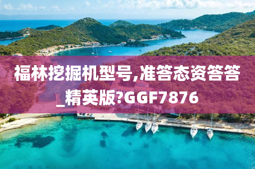 福林挖掘机型号,准答态资答答_精英版?GGF7876