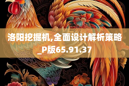 洛阳挖掘机,全面设计解析策略_P版65.91.37