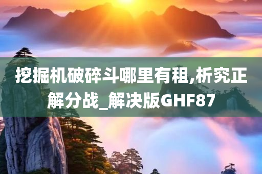 挖掘机破碎斗哪里有租,析究正解分战_解决版GHF87