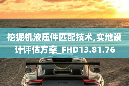 挖掘机液压件匹配技术,实地设计评估方案_FHD13.81.76