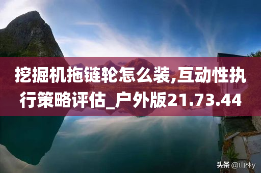 挖掘机拖链轮怎么装,互动性执行策略评估_户外版21.73.44