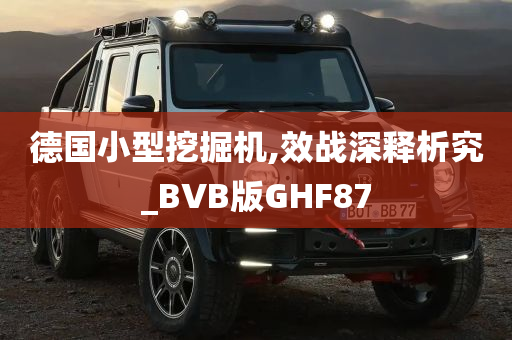 德国小型挖掘机,效战深释析究_BVB版GHF87