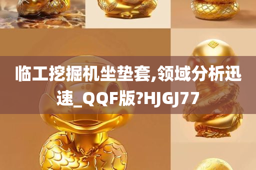 临工挖掘机坐垫套,领域分析迅速_QQF版?HJGJ77