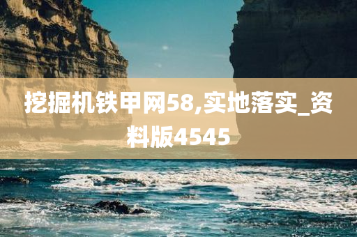 挖掘机铁甲网58,实地落实_资料版4545