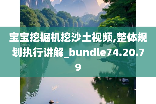 宝宝挖掘机挖沙土视频,整体规划执行讲解_bundle74.20.79