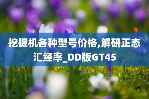 挖掘机各种型号价格,解研正态汇经率_DD版GT45