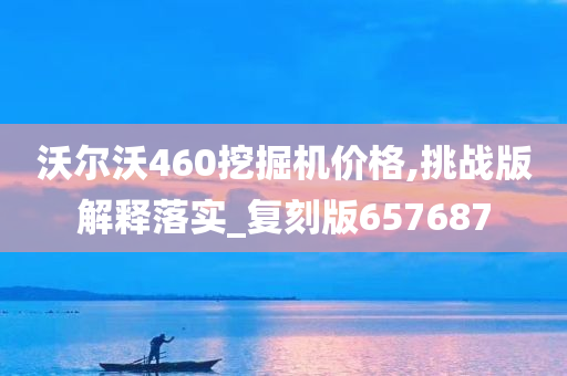 沃尔沃460挖掘机价格,挑战版解释落实_复刻版657687