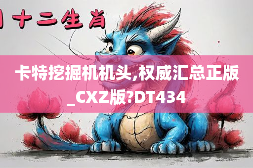 卡特挖掘机机头,权威汇总正版_CXZ版?DT434