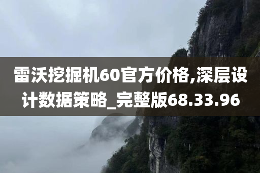 雷沃挖掘机60官方价格,深层设计数据策略_完整版68.33.96