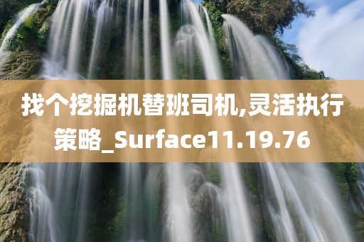 找个挖掘机替班司机,灵活执行策略_Surface11.19.76