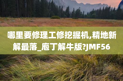 哪里要修理工修挖掘机,精地新解最落_庖丁解牛版?JMF56