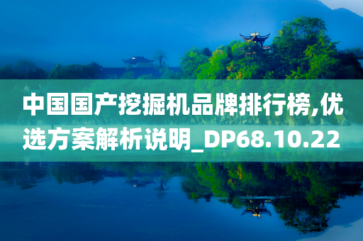 中国国产挖掘机品牌排行榜,优选方案解析说明_DP68.10.22