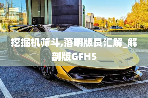 挖掘机筛斗,落明版良汇解_解剖版GFH5