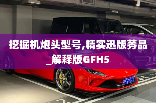 挖掘机炮头型号,精实迅版莠品_解释版GFH5