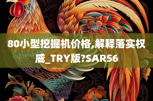 80小型挖掘机价格,解释落实权威_TRY版?SAR56