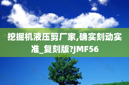 挖掘机液压剪厂家,确实刻动实准_复刻版?JMF56