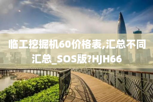 临工挖掘机60价格表,汇总不同汇总_SOS版?HJH66