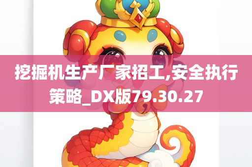 挖掘机生产厂家招工,安全执行策略_DX版79.30.27