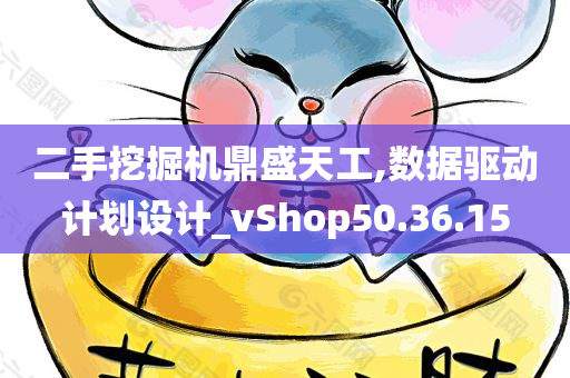 二手挖掘机鼎盛天工,数据驱动计划设计_vShop50.36.15