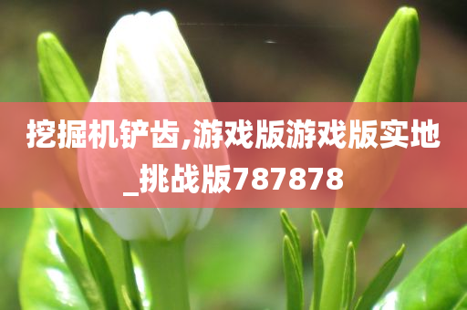 挖掘机铲齿,游戏版游戏版实地_挑战版787878