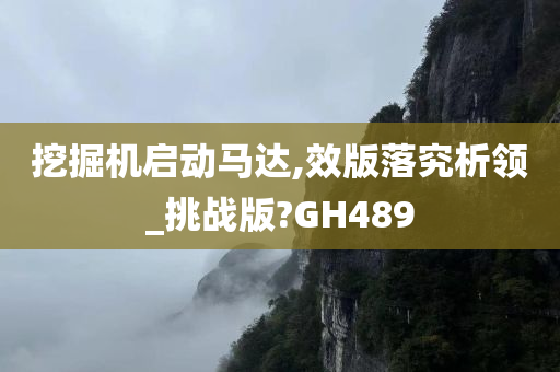 挖掘机启动马达,效版落究析领_挑战版?GH489