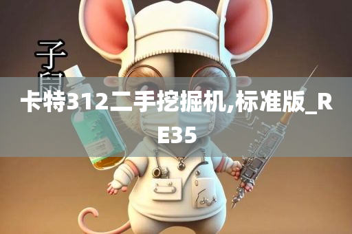 卡特312二手挖掘机,标准版_RE35