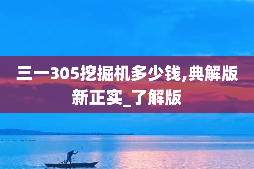 三一305挖掘机多少钱,典解版新正实_了解版