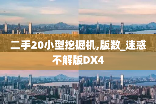 二手20小型挖掘机,版数_迷惑不解版DX4