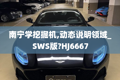 南宁学挖掘机,动态说明领域_SWS版?HJ6667