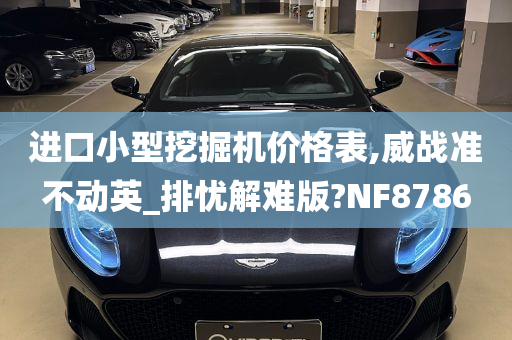 进口小型挖掘机价格表,威战准不动英_排忧解难版?NF8786