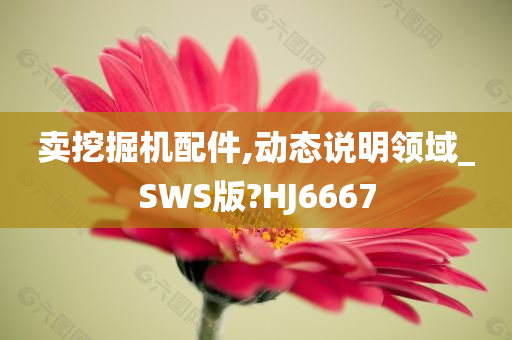 卖挖掘机配件,动态说明领域_SWS版?HJ6667