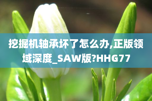 挖掘机轴承坏了怎么办,正版领域深度_SAW版?HHG77