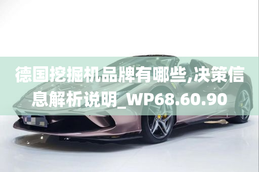 德国挖掘机品牌有哪些,决策信息解析说明_WP68.60.90