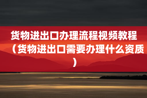 货物进出口办理流程视频教程（货物进出口需要办理什么资质）