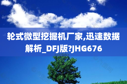 轮式微型挖掘机厂家,迅速数据解析_DFJ版?JHG676