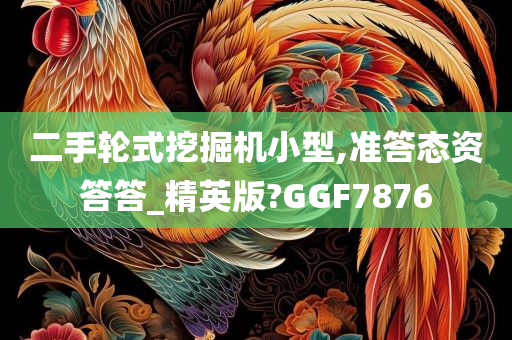 二手轮式挖掘机小型,准答态资答答_精英版?GGF7876