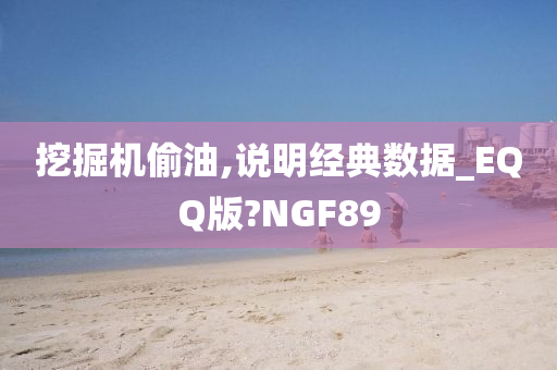 挖掘机偷油,说明经典数据_EQQ版?NGF89