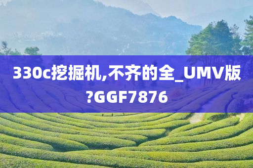 330c挖掘机,不齐的全_UMV版?GGF7876