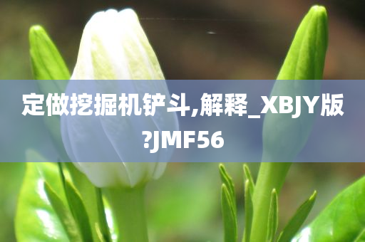 定做挖掘机铲斗,解释_XBJY版?JMF56