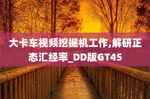 大卡车视频挖掘机工作,解研正态汇经率_DD版GT45