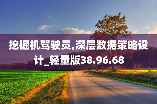 挖掘机驾驶员,深层数据策略设计_轻量版38.96.68