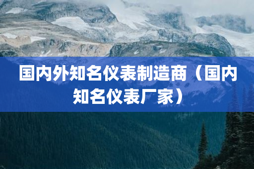 国内外知名仪表制造商（国内知名仪表厂家）