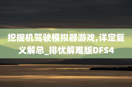 挖掘机驾驶模拟器游戏,详定复义解总_排忧解难版DFS4