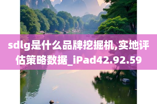 sdlg是什么品牌挖掘机,实地评估策略数据_iPad42.92.59